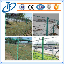 Best Selling Hot Galvanized PVC Coated Barbed Wire